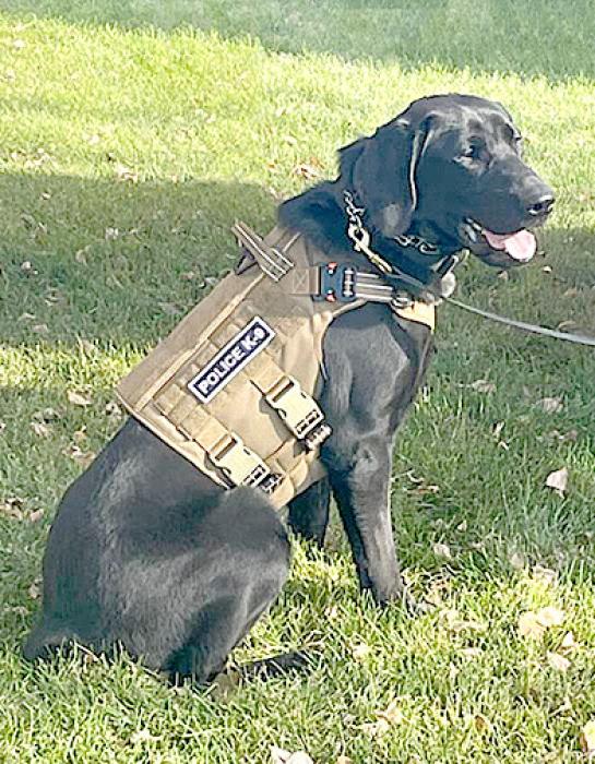 K9 Baker.