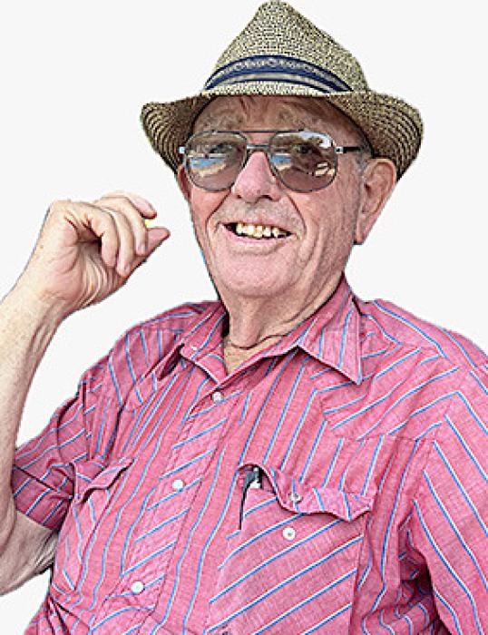 Ronald J. Dorsey, 81