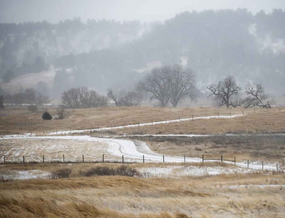 Monday, March 25, 2024, was a slippery one with ice accumulation under the snow. In all, the blizzard that wasn’t delivered 1.4 inches of snow that Monday, with 45 mph wind gusts. Photo by Laura Vroman