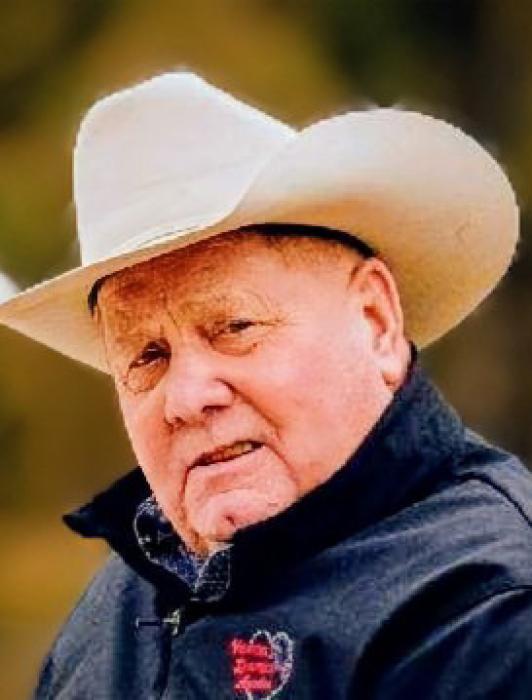 Eugene Darrel Parkhurst, 74