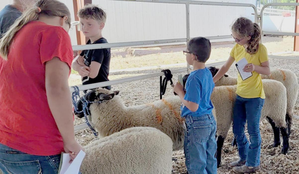 Cherry County 4-H 2022 Livestock Judging Contest results