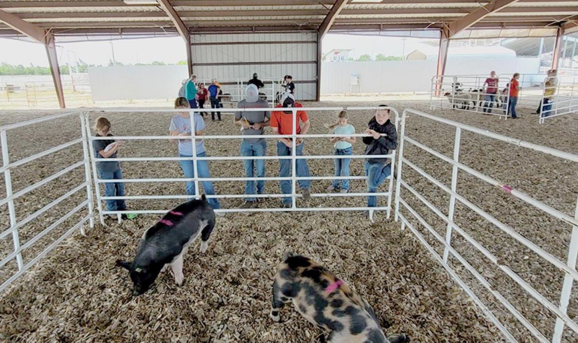 Cherry County 4-H 2022 Livestock Judging Contest results