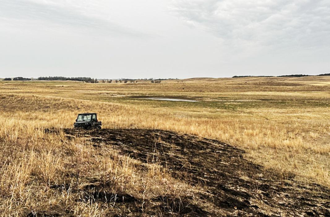 Nebraska Recovery Roundup: Should I reseed on Sandhills rangeland following a wildfire?