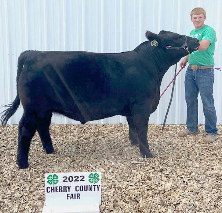Champion Sr. Beef Showman, Dylan Naslund.