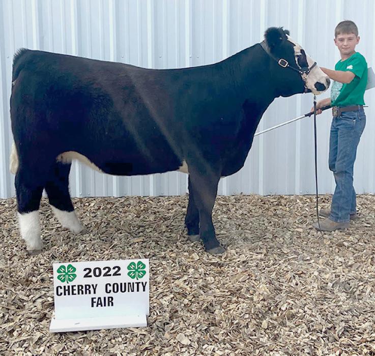 Champion Jr. Beef Showman, Tanner Heath.