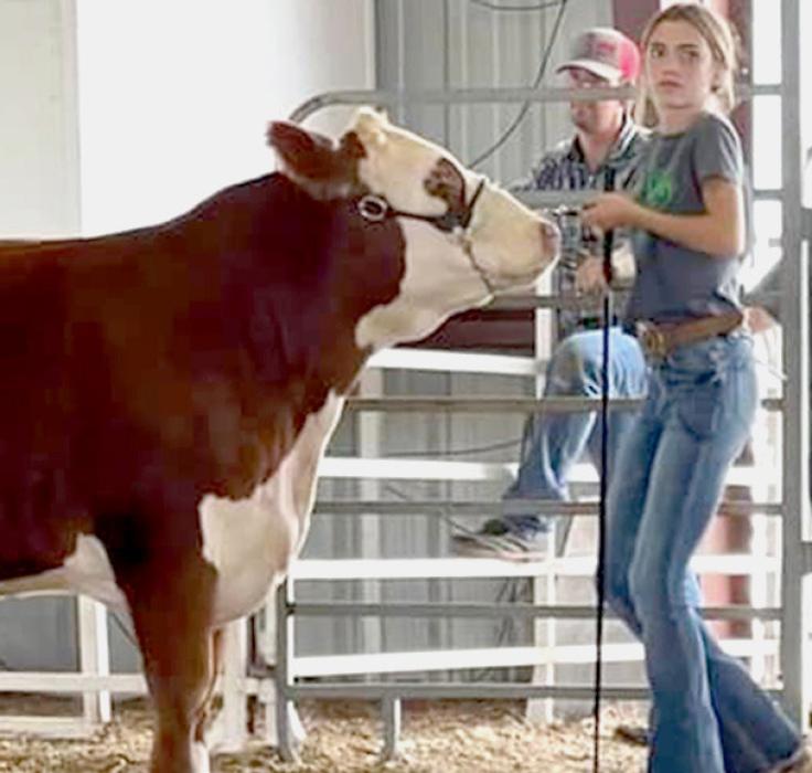 Champion Intermediate Beef Showman, Maeli Patterson.