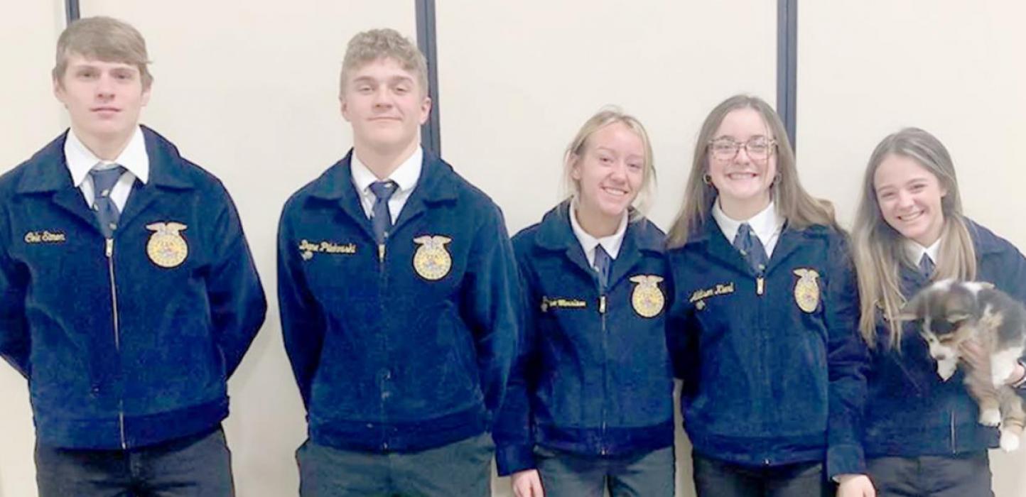 VHS CDE teams