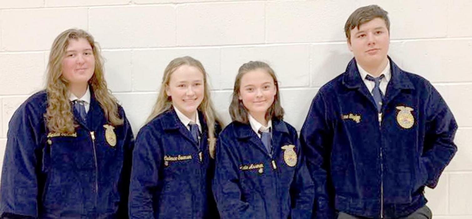VHS CDE teams