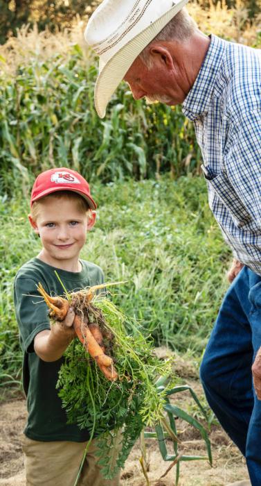 Caleb DeWeerd and John Delaney harvesting from Pastor Scott’s garden.