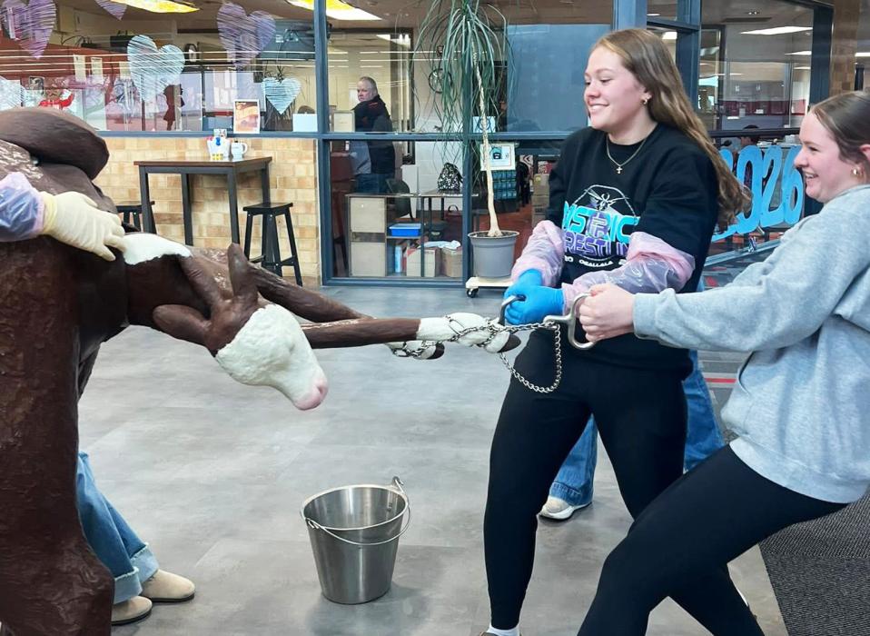 Calving College for those who want to know!
