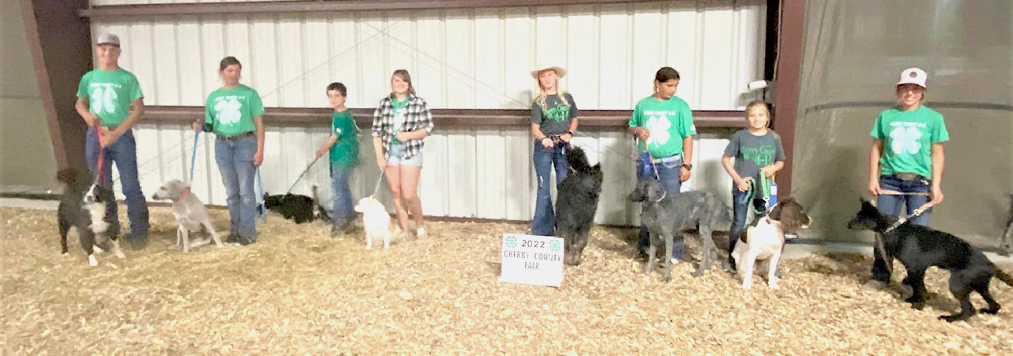 4-H Dog competitors are pictured from L to R: Quinton Nelson, Rylie Sexson, Jaydn Danielski, Praise Maunu, Keeleigh Burge, Addie Sexson, Sarah Burge, and Annalena Nelson.