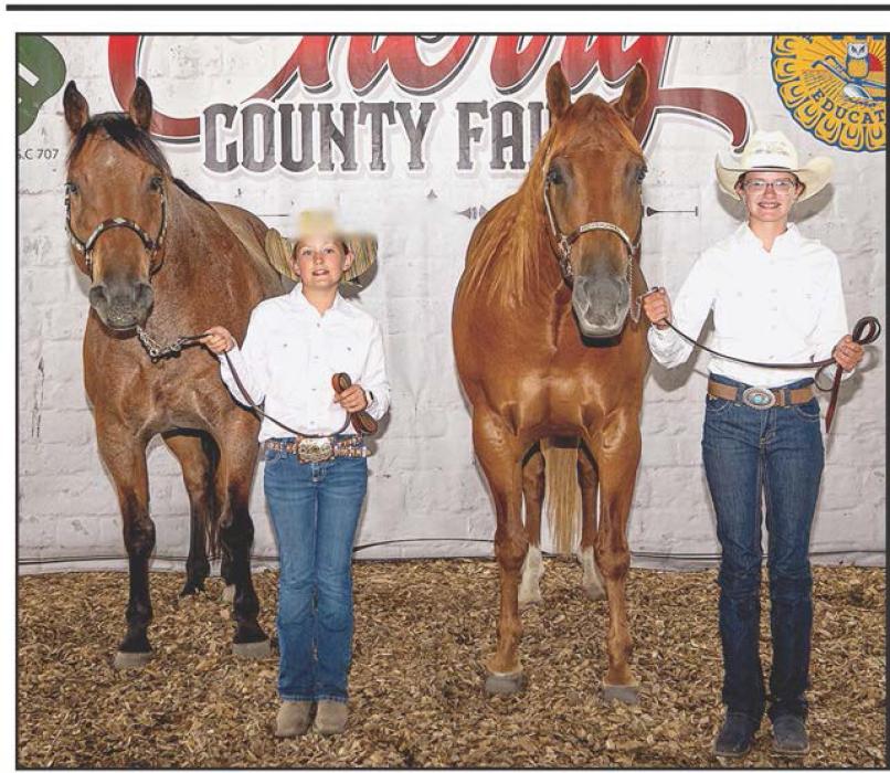 Millie Kime showed the Champion Aged Geldi_ Kime was Reserve Champion.