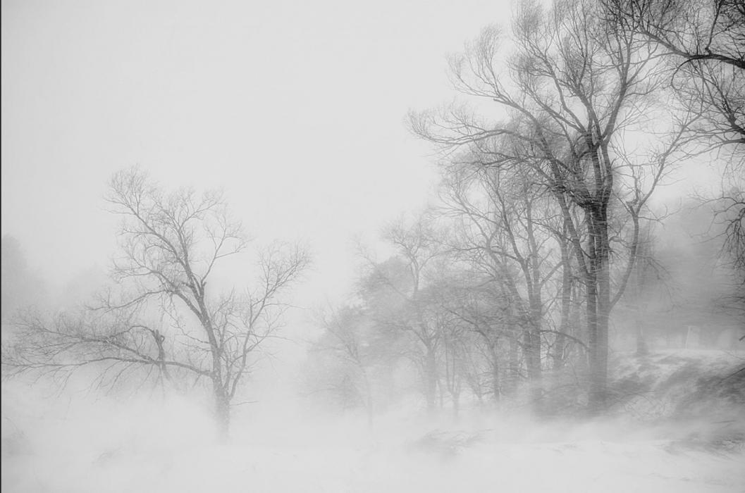 Photo by Laura Vroman