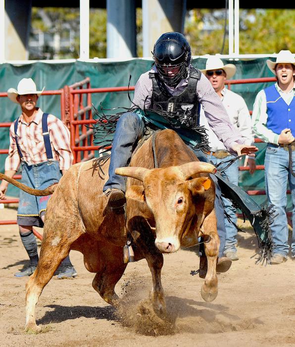 Parker Chavez in the Bull Riding.