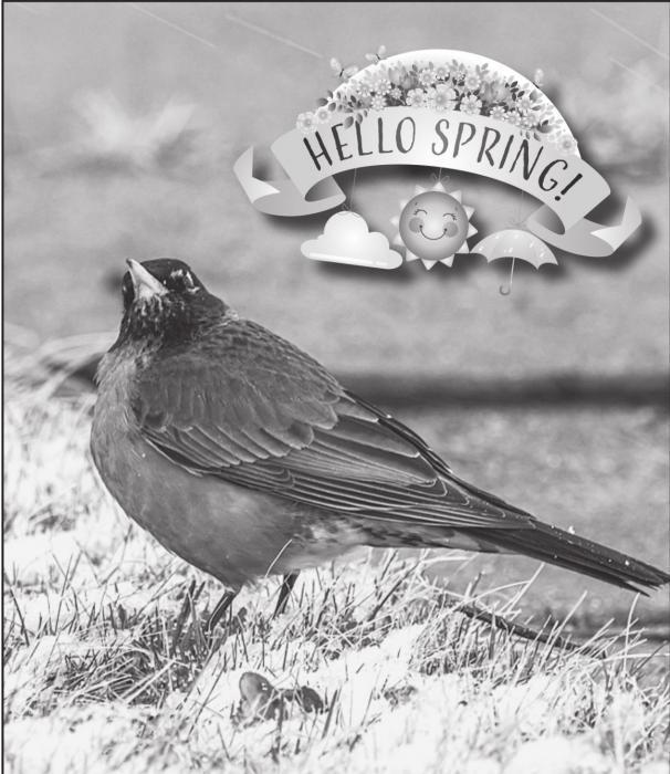 Robin is unaware of the actual date of Spring