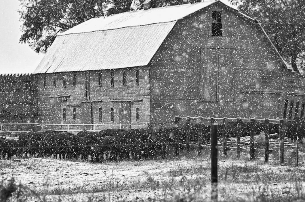While the above photo wasn’t taken this year; November 1, 2021 was the first day with snowfall of the season. Photo by Laura Vroman