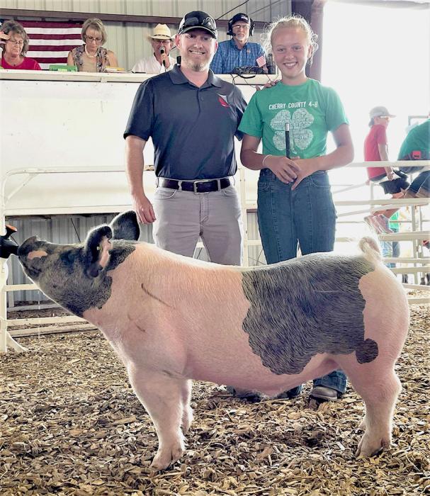 Champion Market Swine owned by Addison Stec, purchased by Nebraska Bank for a $1,100 premium.