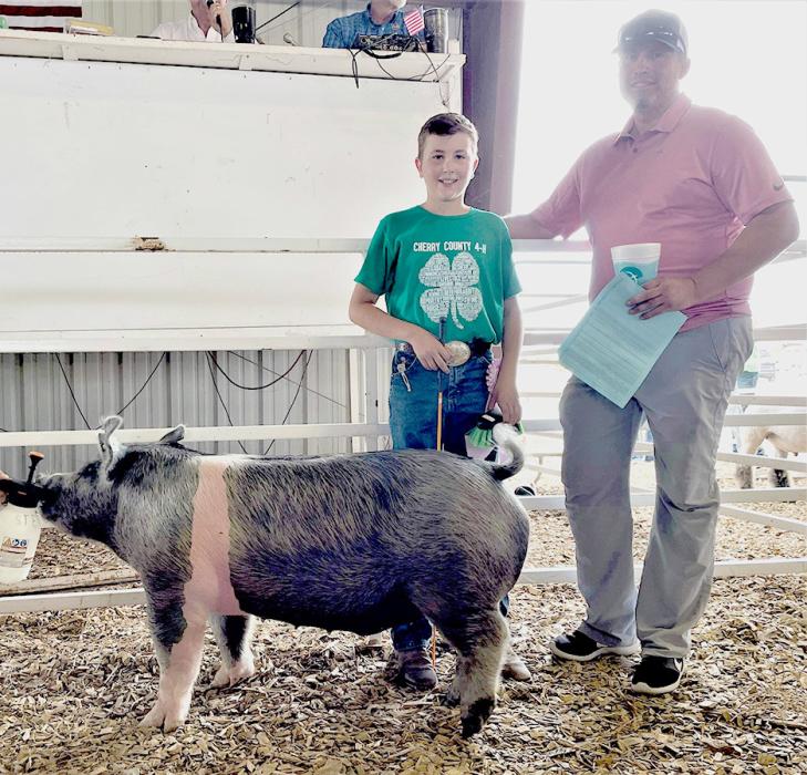 Reserve Champion Market Swine owned by Quaiden Knight, purchased by Peterson Beel LLP for a $1,500 premium.