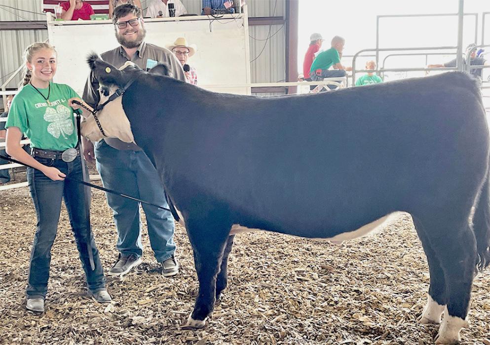 Champion Market Steer owned by Rylee Ward, purchased by Sandhill Oil for a $1,300 premium.
