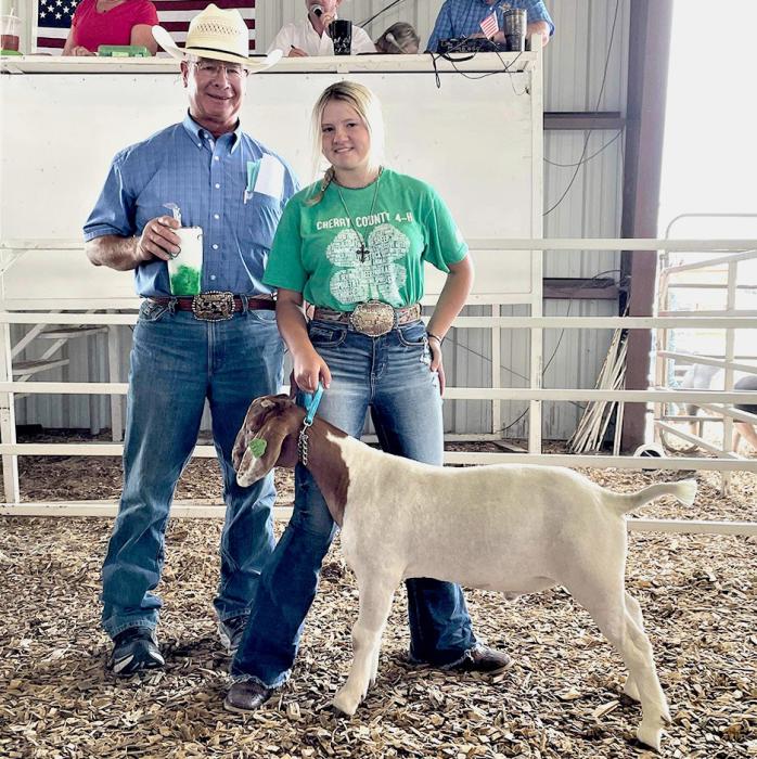 Champion Market Goat owned by Bailey Bowen, purchased by Bassett Livestock for a $500 premium.