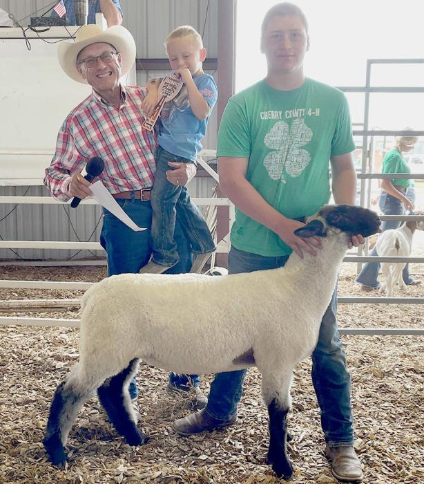 Reserve Champion Market Lamb owned by Matthew Prewitt, purchased by Valentine Dental/Valentine Livestock Auction for a $1,000 premium.