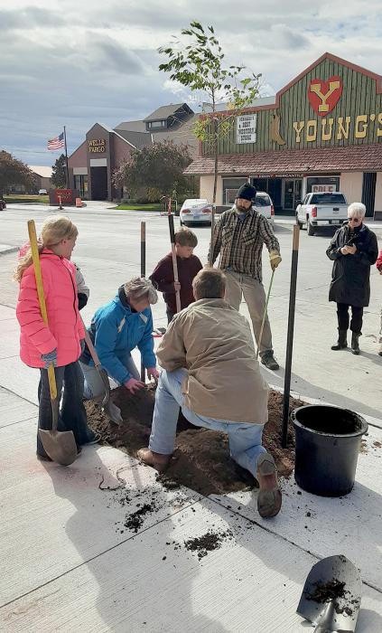 First Tree on Main Street is planted in front of Sandhills State Bank