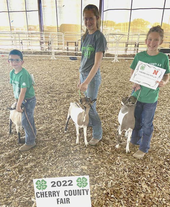 Katelyn Blackford (right) had the Champion Dairy Goat Kid and Champion Jr. Dairy Goat Herd. Her brother, William (left), showed as a Clover Kid. Katelyn was also the Champion Jr. Dairy Goat Showman.