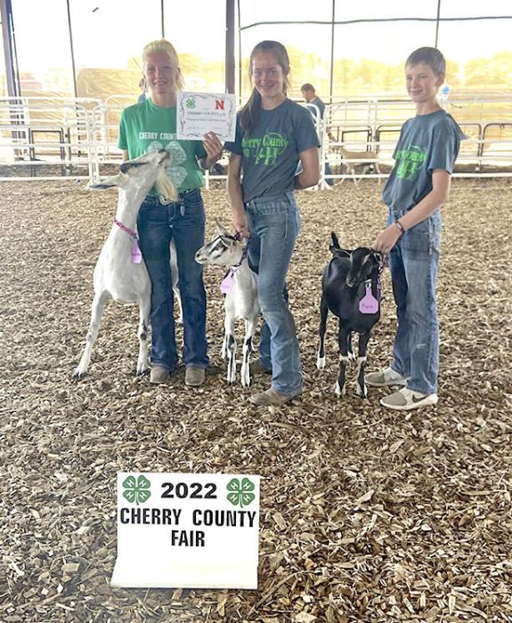Christen Larson-Malard (left) had the Champion Dairy Goat Herd, the Champion Dairy Goat Milker and Champion Dairy Goat Non-Milker Over 1 Year. Christen was also the Champion Senior Dairy Goat Showman.