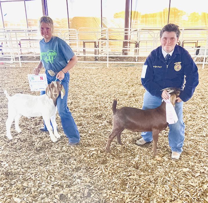 Champion Sr. Meat Goat Showman Bailey Bowen, Reserve Champion, Emma Thompson. Emma was the only FFA livestock showman this year at the Cherry Co. Fair.