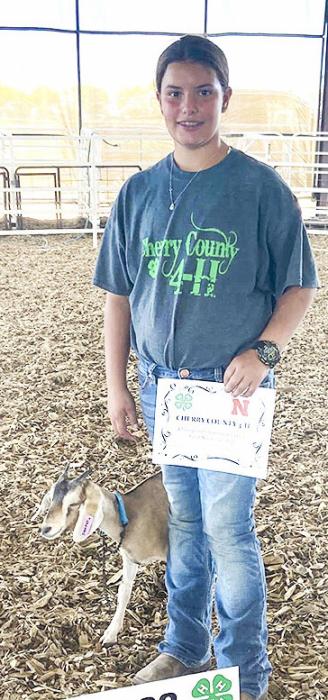 Champion Intermediate Dairy Goat Showman Addie Sexson.