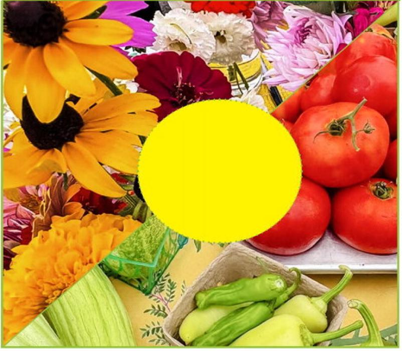 Farmers Market 9:00 a.m. - noon on Saturdays Highway 20 - IGA