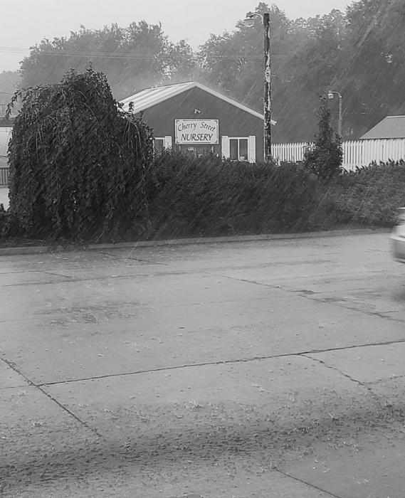 Rain was falling in a steady downpour, Wednesday, August 25, 2021, yielding .41. Photo by Laura Vroman