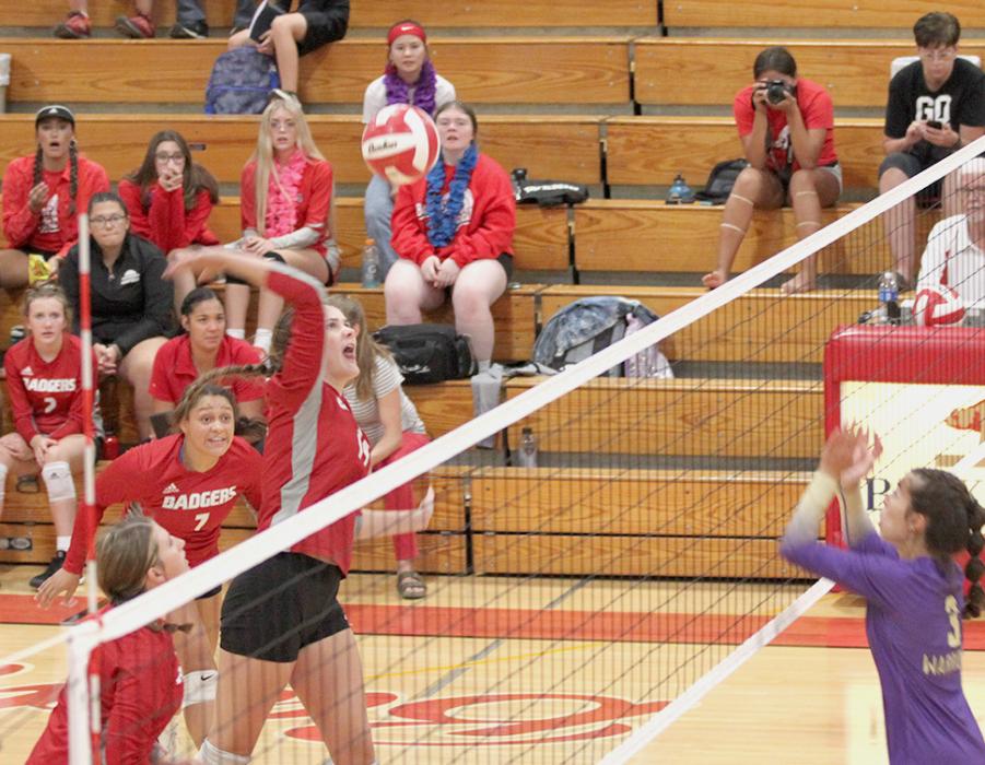 Lainey Egelhoff prepares to return the ball over the net in the game against Winner. Photos by Amanda Long