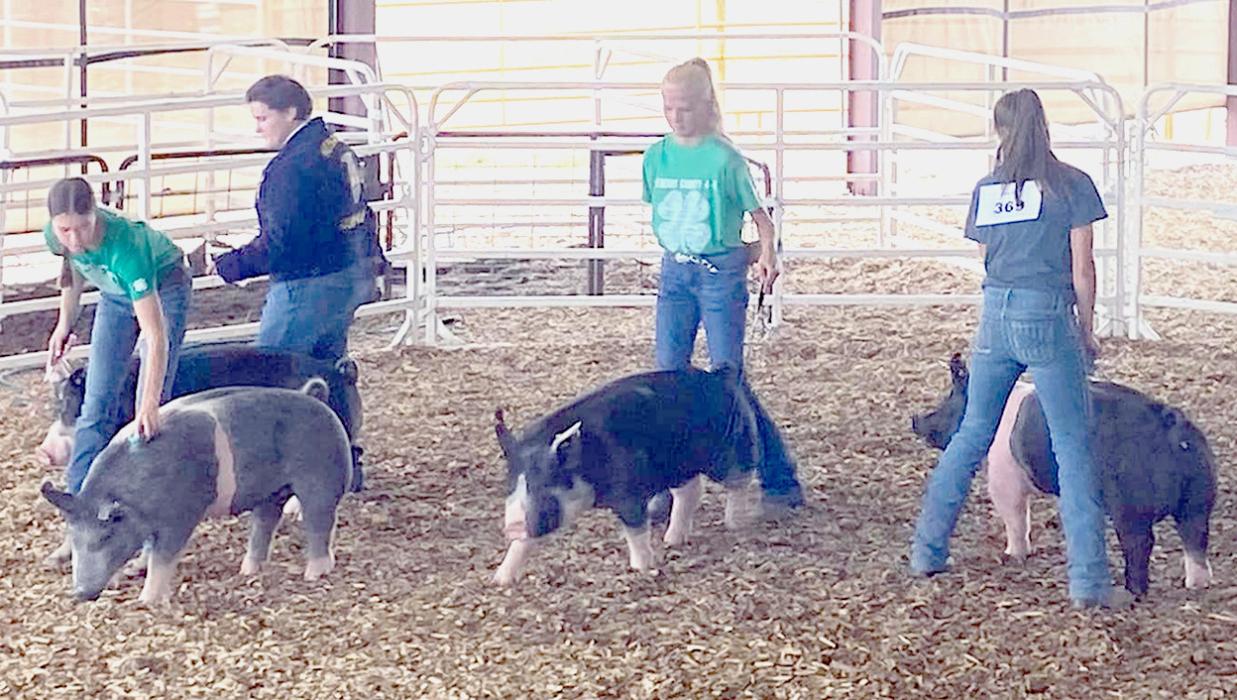 Round Robin participants in the ring are from L to R: Kate Cox, Emma Thompson, Christen Larson-Malard, and Aubrey Benson.
