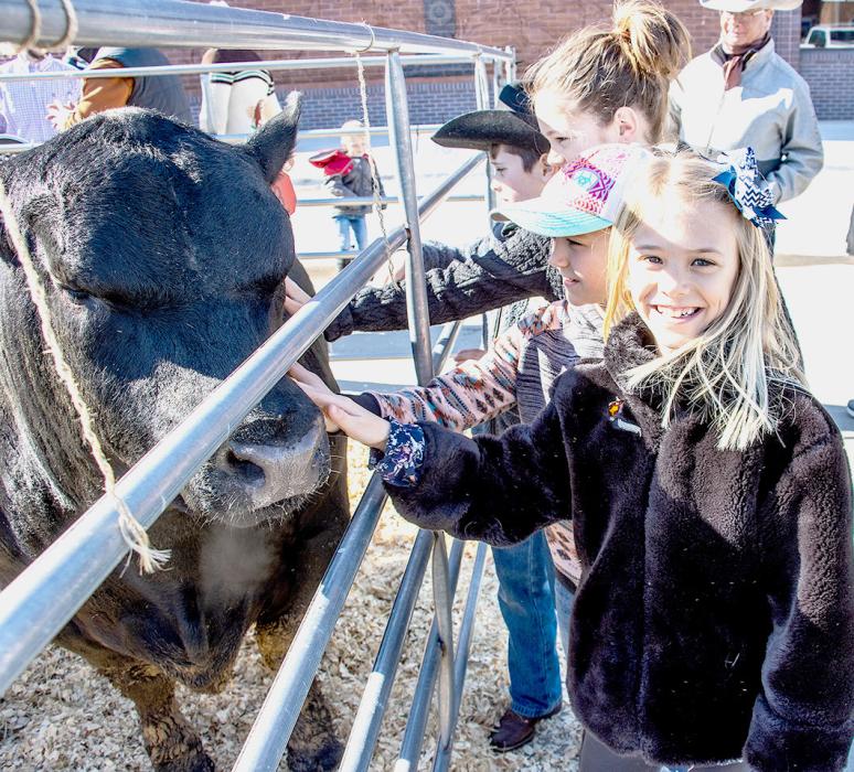 The bulls were welcoming at the 22nd annual Bull Bash. Stepping out of their comfort zone were from front to back, Margaret May Fischer, Veda Mykel Dent, Rachael Debra Fischer, and Bryan Carl Fischer petting on the bulls from Miller Angus of Cody.
