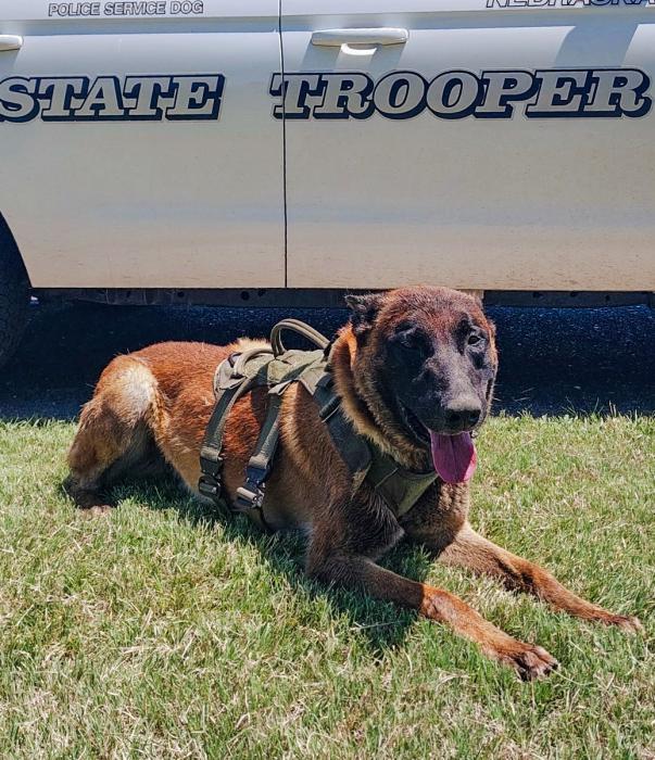 Nebraska State Patrol’s new K-9s, RJ at right, and Phoenix is pictured above.