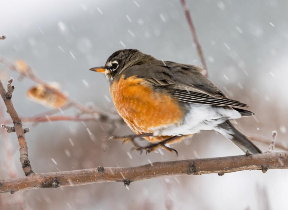 What’s up Robin?