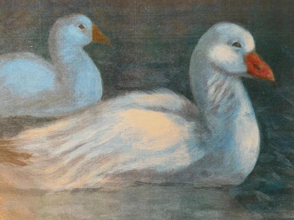 Before June ends, make sure to stop at Fort Niobrara National Wildlife Refuge’s Visitor Center to see the 36 artworks done by Nebraska students. Brooklyn Glennon of Scottsbluff submitted this Ross goose pair and won Best of Show.