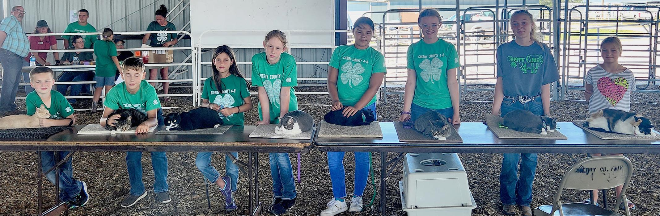 Showing in the 4-H Cat Show were: Case Larson, Tilden Foster, Charlotte Coleman, Sophia Estrada (2), Madysyn Bopp, Keeleigh Burge (2), along with their helpers.