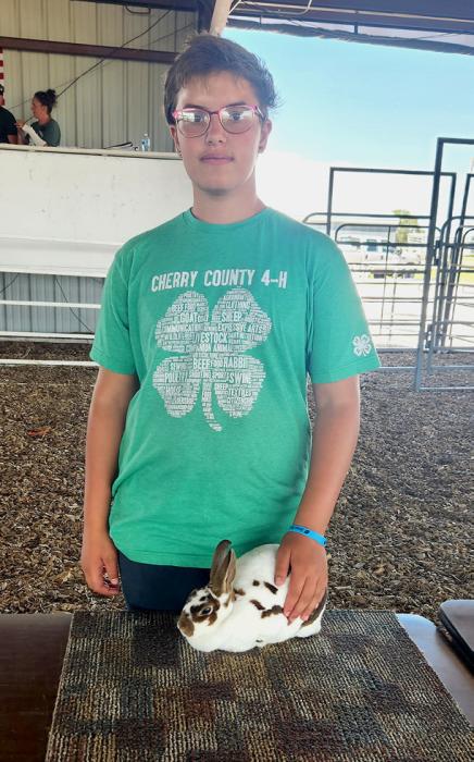 Addie Sexson was Champion Intermediate Rabbit Showman.