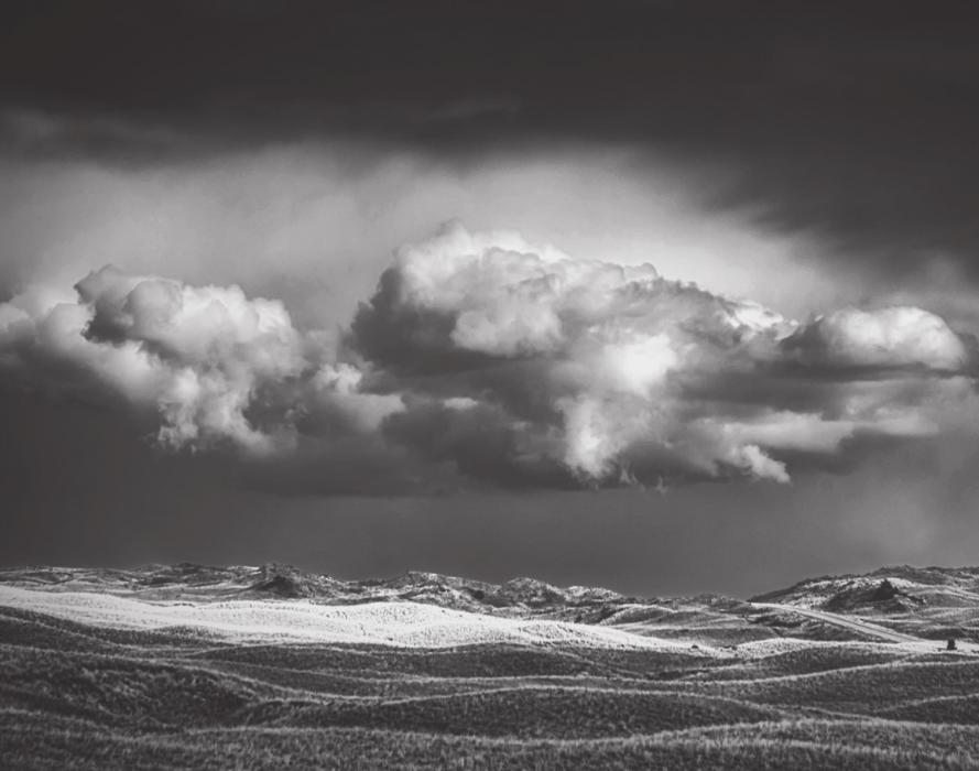Photo by Laura Vroman