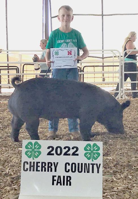 Paxton Knight was the Champion Jr. Swine Showman.