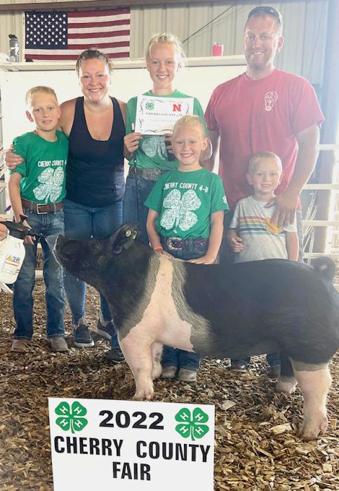Addison Stec had the Champion Breeding Gilt and was the Champion Intermediate Showman. She also had the Champion Pen of two.
