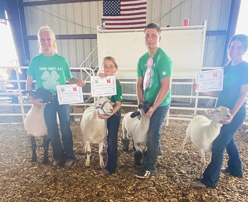Sheep Showmanship Awards are from L to R: Christen Larson-Malard, Champion Sr.; Kayleigh Harms, Champion Jr.; Matthew Prewitt Reserve Intermediate; Annalena Nelson, Champion Intermediate.