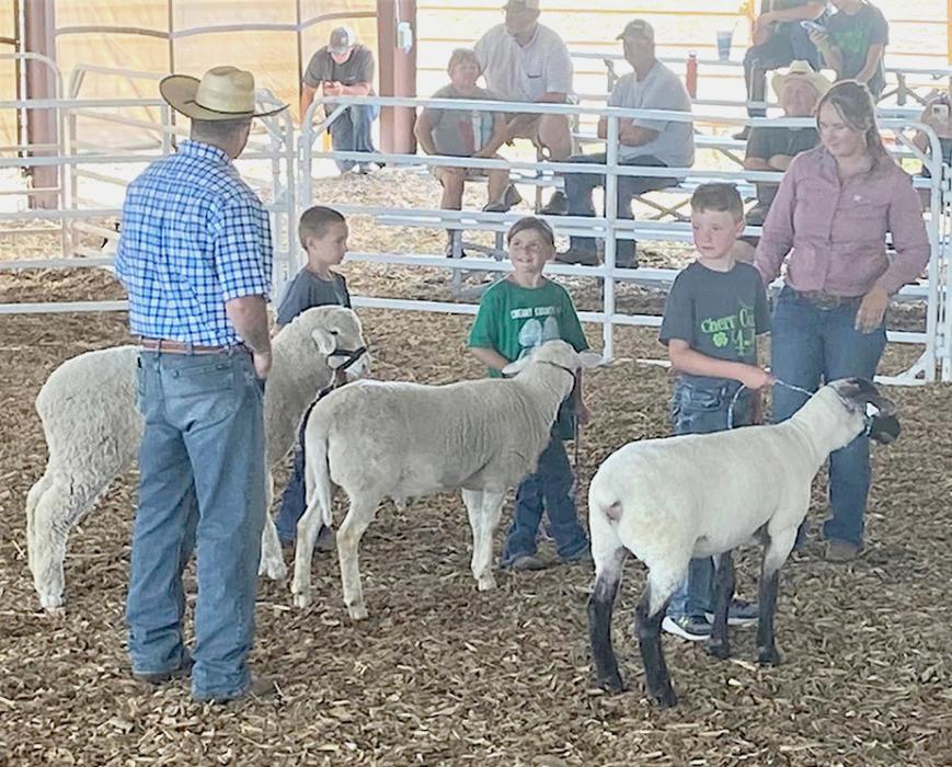 Clover Kid Sheep Show are from L to R: Case Larson, Sophia Harms, Ryan Adams.
