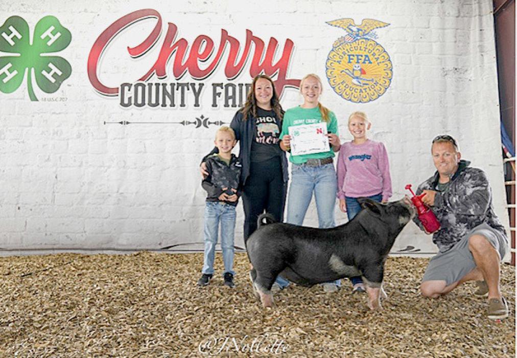 Champion Senior Swine Showman Addison Stec.