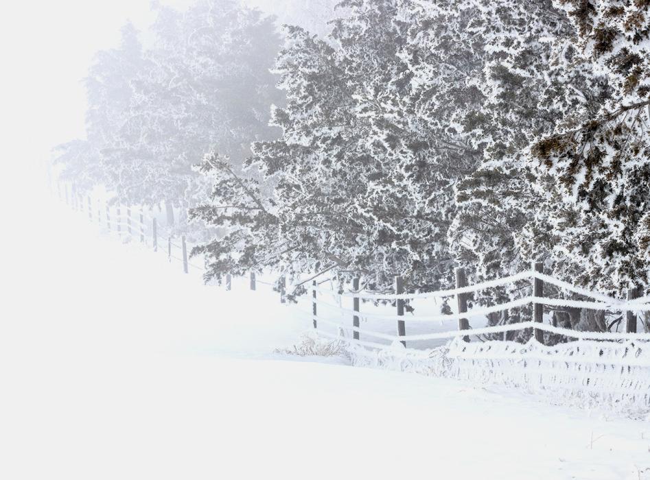 Jack Frost and fog hang around - all day!
