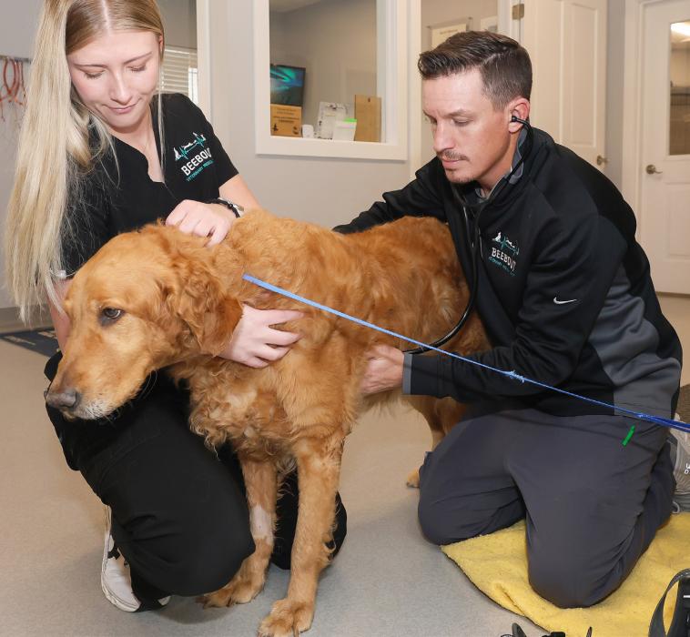 Charlotte Hargreaves is a junior at UNK, where she studies pre-veterinary medicine and serves as president of the Pre-Vet Club. She’s pictured with her golden retriever Opie. Photo by Erika Pritchard,UNK Communications