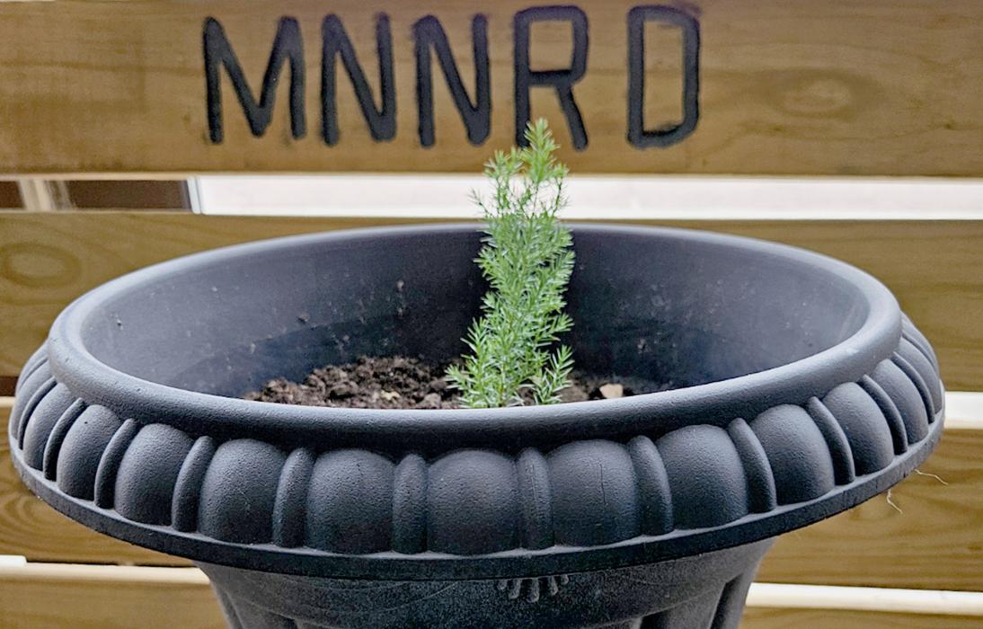 MNNRD participates in Arbor Day activities