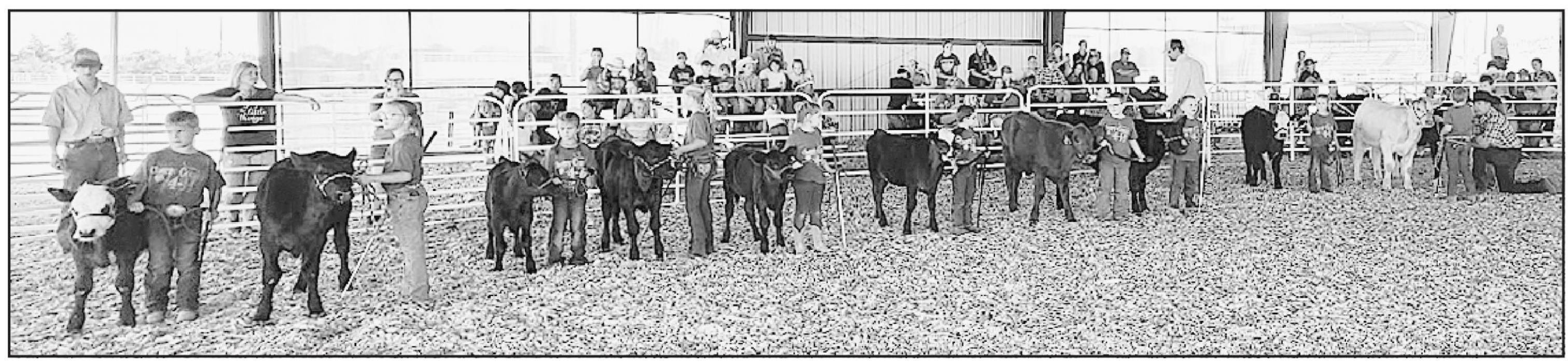 This year’s Bucket Calf Show was tremendous! There was one 4-H Bucket Calf and 10 Clover Kid Calves!